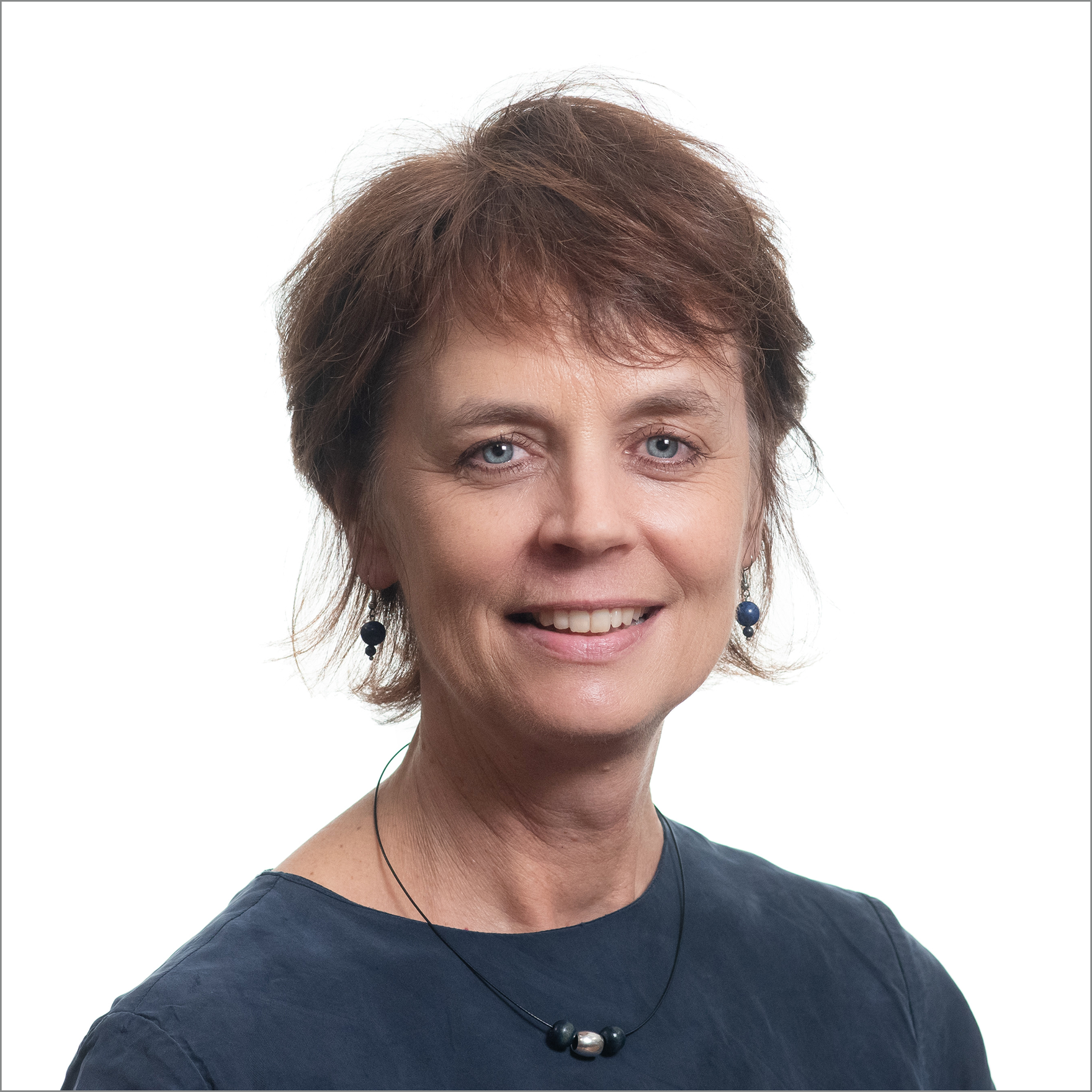Prof. Serena Coetzee United Nations University - UNU Flores