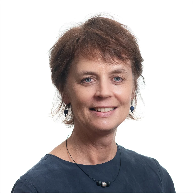 Prof. Serena Coetzee United Nations University - UNU Flores